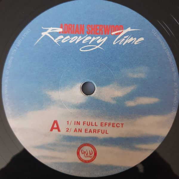 Adrian Sherwood - Recovery Time | Mint (M) Mint (M)-EmojiWear
