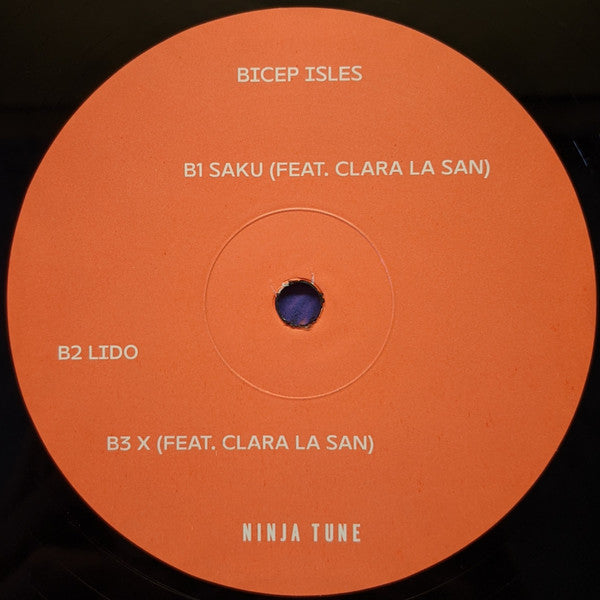 Bicep - Isles (2x Vinyl) | Mint (M) Mint (M)-EmojiWear