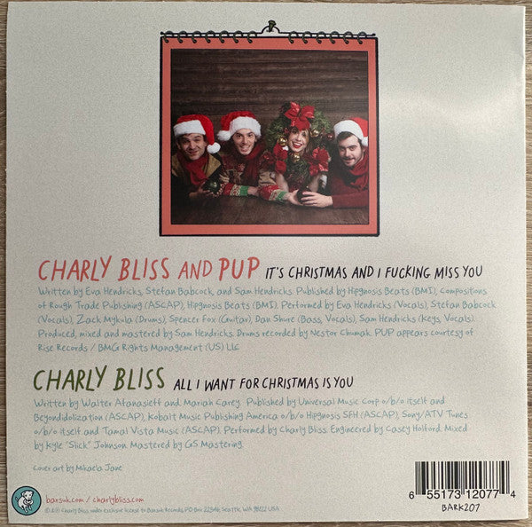 Charly Bliss X Pup (3) - It's Christmas And I Fucking Miss You | Mint (M) Mint (M)-EmojiWear