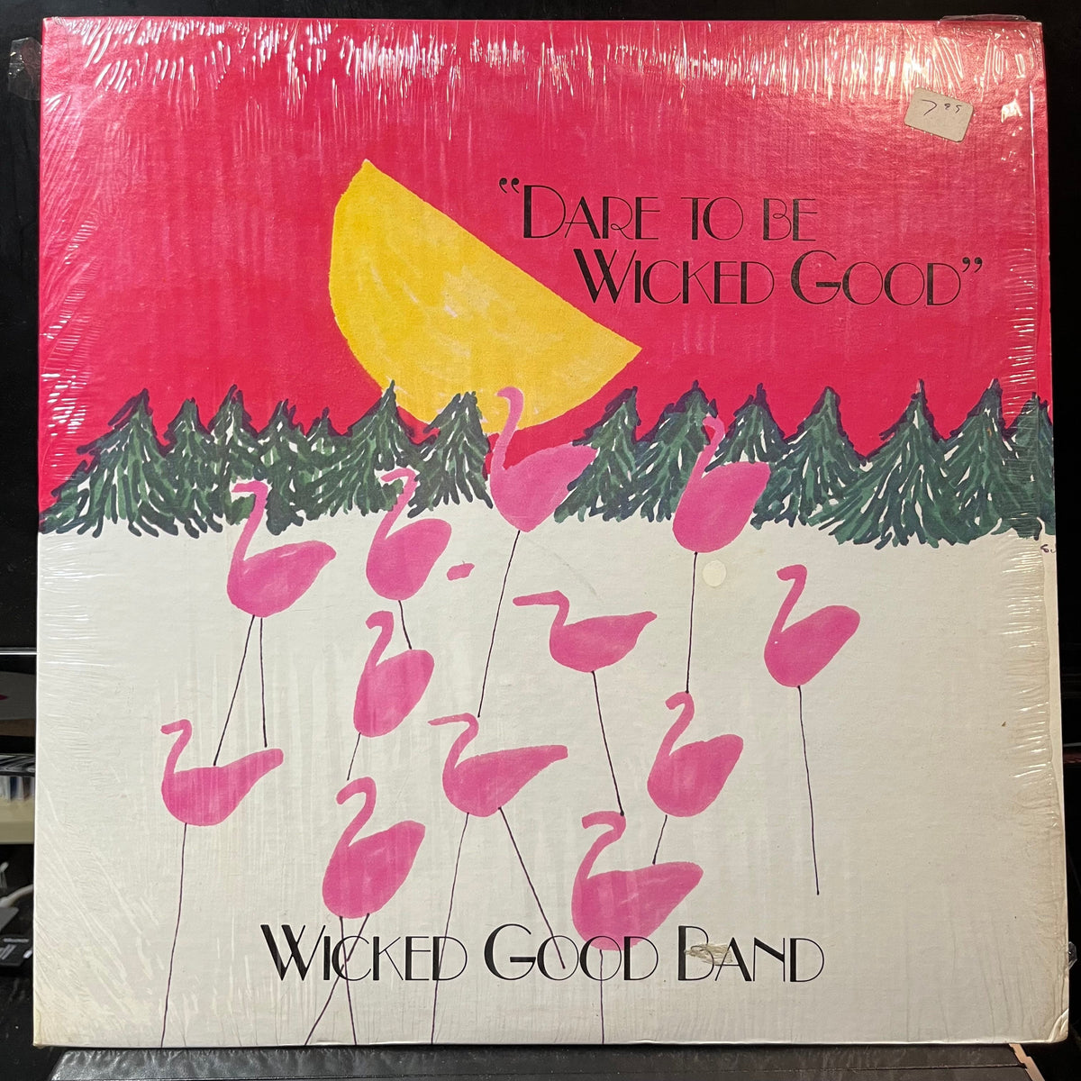 The Wicked Good Band - Dare To Be Wicked Good (VINYL LP WICKED GOOD WGR 1501 1985) | USED Near Mint (NM or M-) Near Mint (NM)-EmojiWear