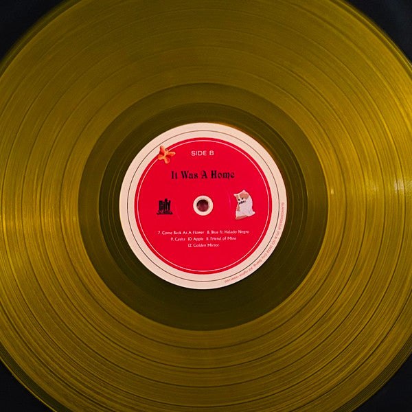 Kaina Castillo - It Was A Home (VMP VINYL) | Mint (M) Mint (M)-EmojiWear