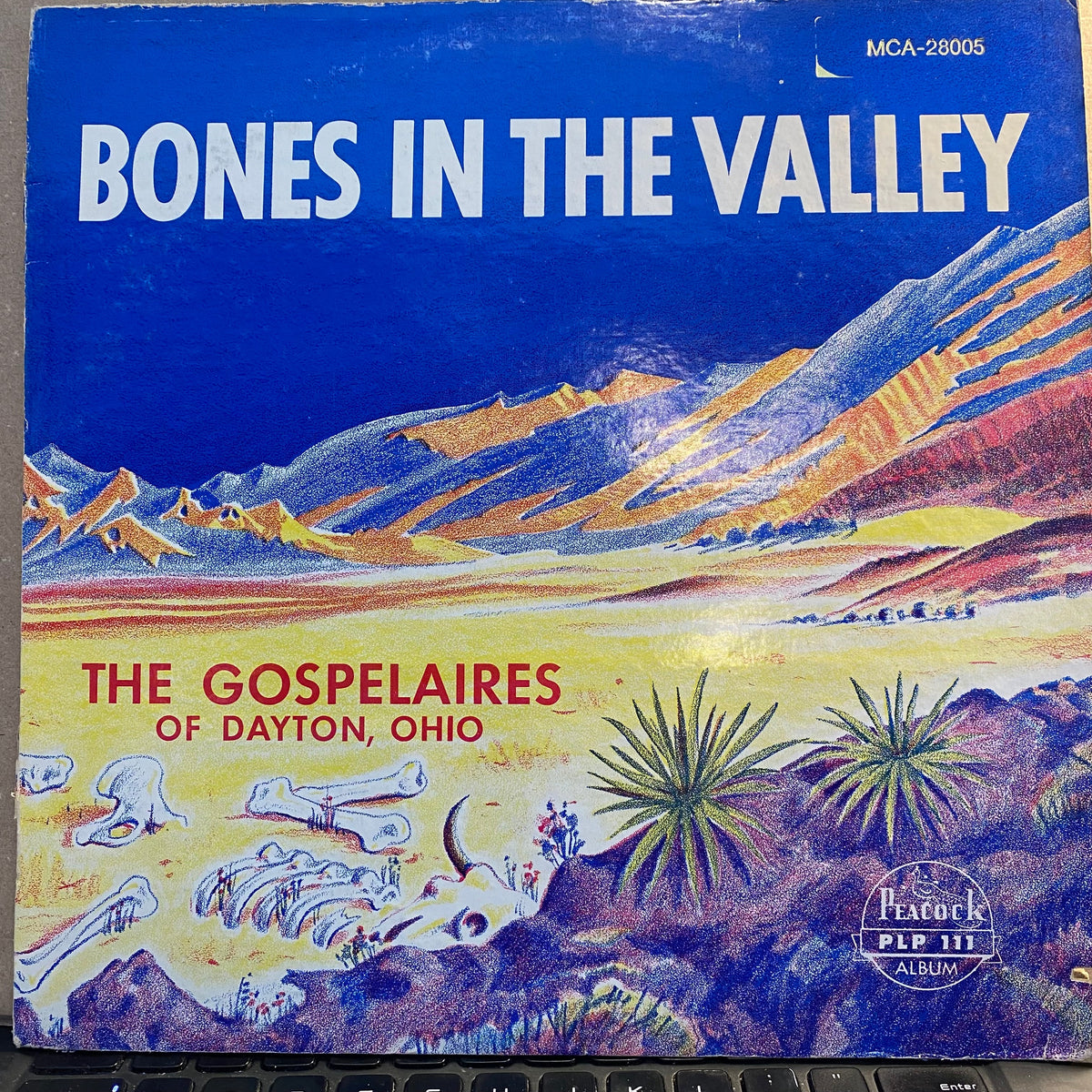 The Gospelaires - Bones In The Valley | Excellent (EX) Very Good (VG)-EmojiWear