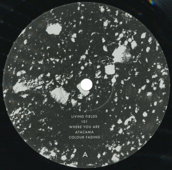 Portico Quartet - Living Fields | Mint (M) Mint (M)-EmojiWear