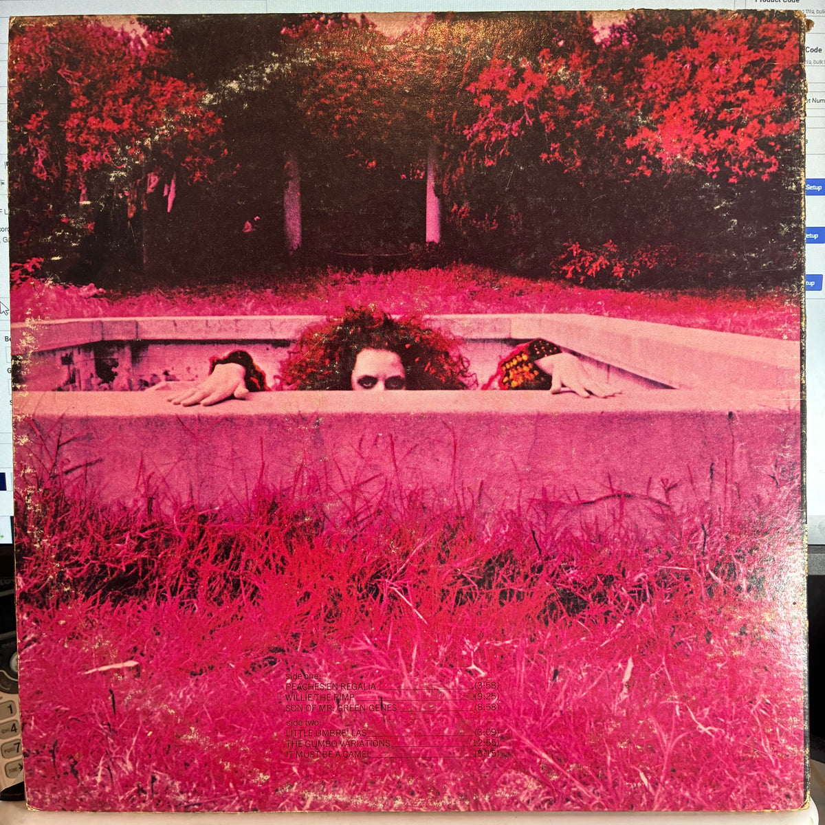 Frank Zappa - Hot Rats (VINYL) |-EmojiWear